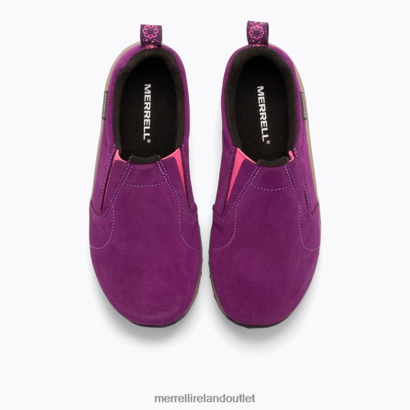 Merrell Jungle Moc Frosty Waterproof (J95609K) Kids LTPDN1427 Shoes Winterberry