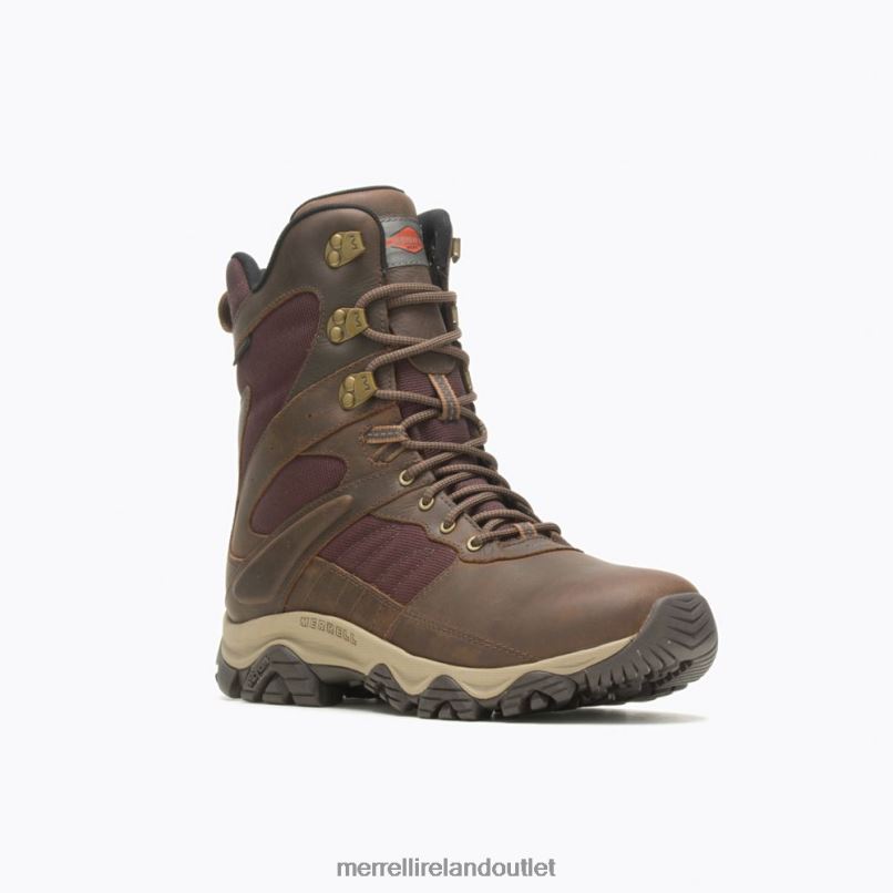 Merrell Moab 2 Timber 8'' Waterproof (J004649) Men LTPDN637 Shoes Toffee