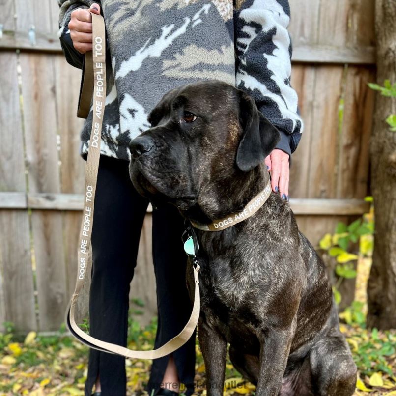 Merrell Dog Leash (JAF26689-176) Unisex LTPDN460 Accessories Sepia Tint