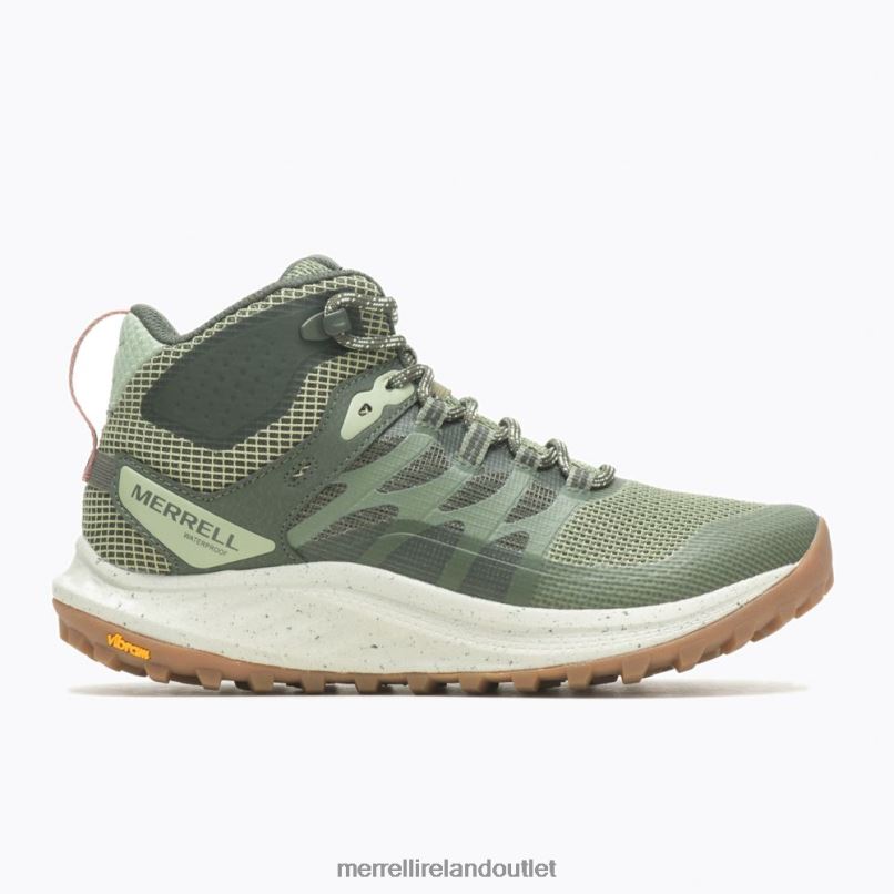 Merrell Antora 3 Mid Waterproof (J067584) Unisex LTPDN1083 Shoes Lichen