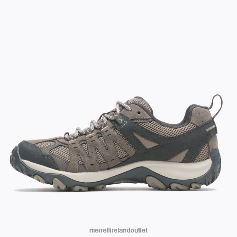 Merrell Accentor 3 (J135438) Women LTPDN1263 Shoes Brindle