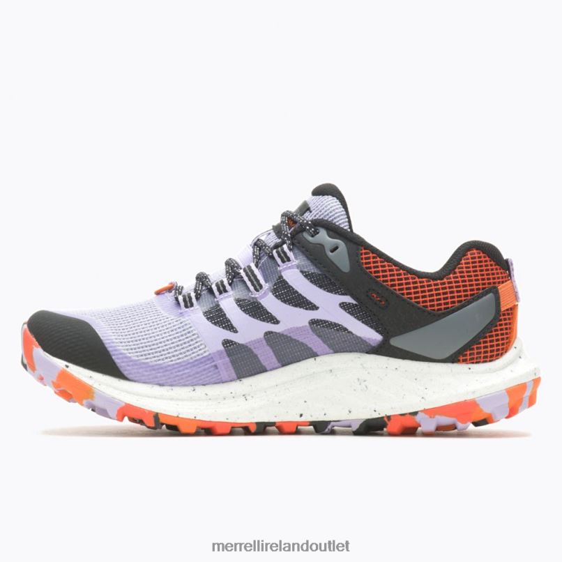 Merrell Antora 3 GORE-TEX (J067570) Women LTPDN820 Shoes Orchid DR