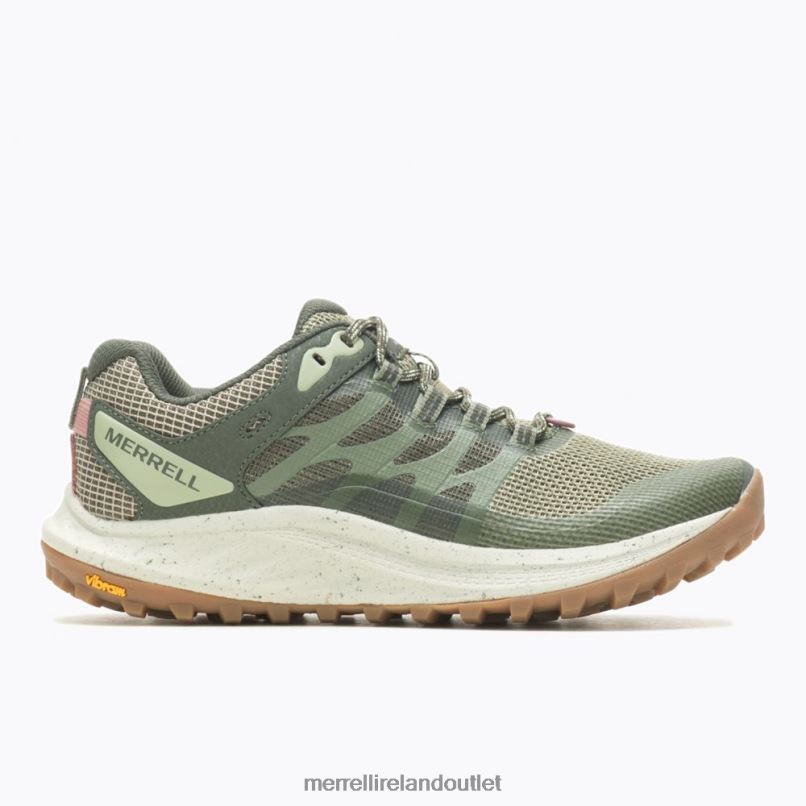 Merrell Antora 3 (J067602) Women LTPDN976 Shoes Lichen