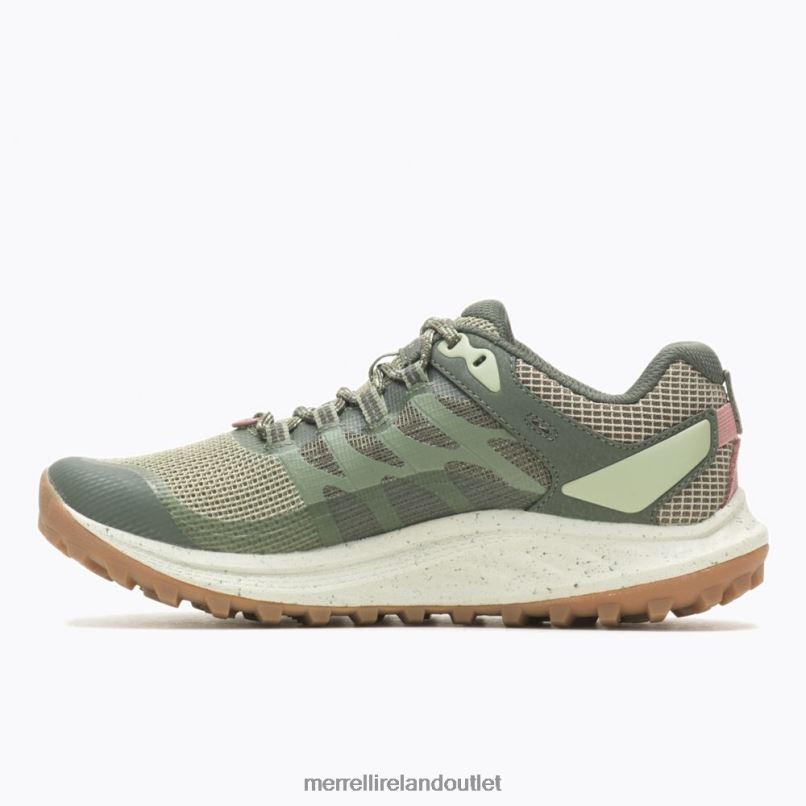 Merrell Antora 3 (J067602) Women LTPDN976 Shoes Lichen